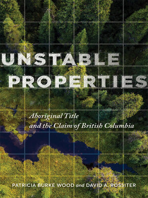 cover image of Unstable Properties